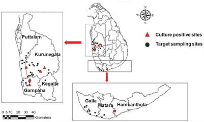 Burkholderia pseudomallei in soil and natural water bodies in rural Sri Lanka: A hidden threat to public health